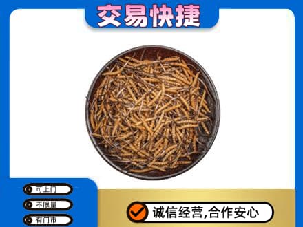 抚顺回收散虫草